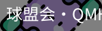 球盟会